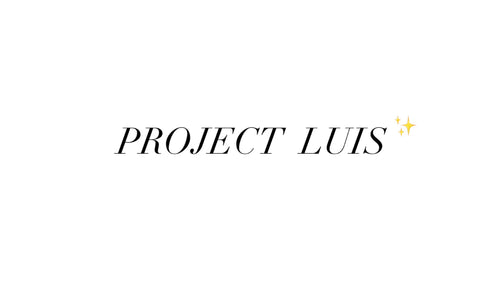 PROJECT Luis